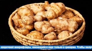 Польза топинамбура для организма