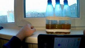 Тест масел 5w-30 на текучесть при -26`C