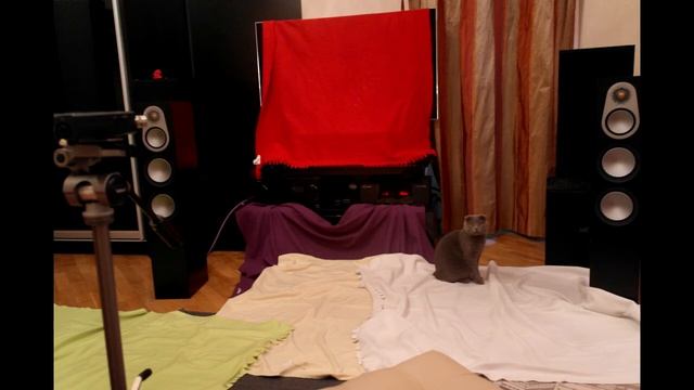 Monitor Audio Silver 300 - Jazzy3 смотреть онлайн