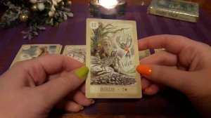 КАК Я ВСТРЕЧУ  НОВЫЙ  2021 ГОД?!ГАДАНИЕ НА НОВЫЙ ГОД