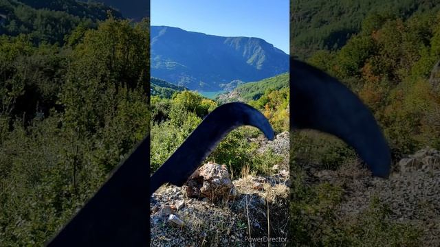 Билльхук или секач - турецкое древковое оружие