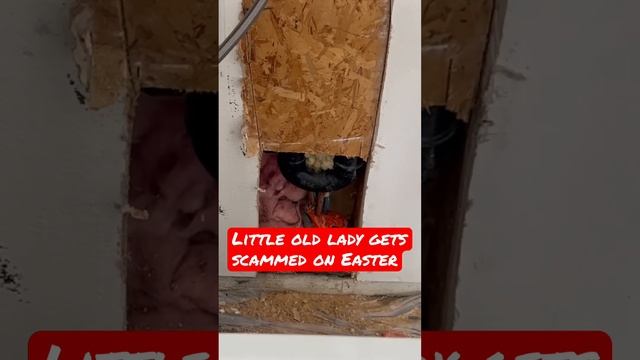 This plumber uses spray foam to stop leaks #plumbing #service #scam