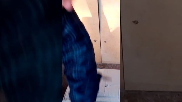 Мотоблок БРАЙТ 105 смотреть онлайн