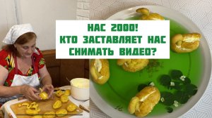НАС УЖЕ 2000! / Кто нас заставляет снимать видео? / Делаем сладкое Лебединое озеро /Загородная жизнь