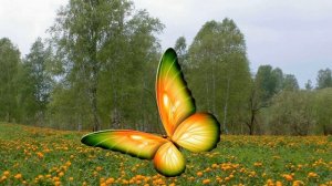 ЖЕНА С ЛЮБОВНИКОМ УЕХАЛА НА МЕСЯЦ В ТАИЛАНД Истории Рассказы Аудио