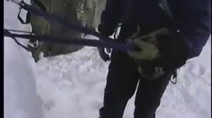 компенсационная петля