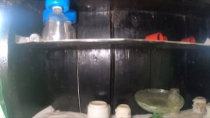 НАШЛИ ОТШЕЛЬНИЦУ В ГЛУХОЙ ТАЙГЕ. Живет одна без дорог, связи и цивилизации