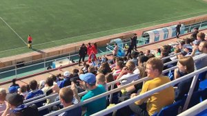 Нам очень нужен Сокол! Сокол Саратов