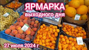 Краснодар - Ярмарка выходного дня на ул. Одесской - цены на продукты - 27 июля 2024 г.