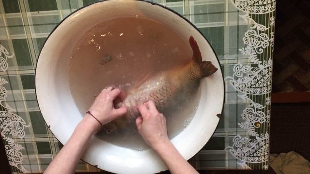 как почистить рыбу ,что бы кухня осталась чистой !!!! смотреть онлайн