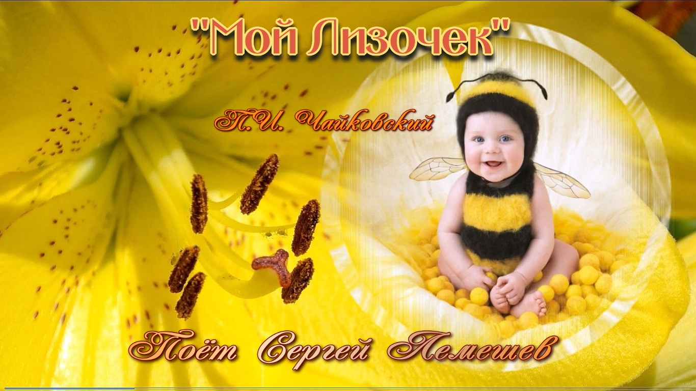 Чудо мое песни. Лизочек