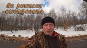 Охота на кабана. Закрытие сезона. Не решился выстрелить.