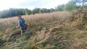 Работа трёхлопастным ножем по многолетним травам бензокосой /Working with a knife on perennial herb