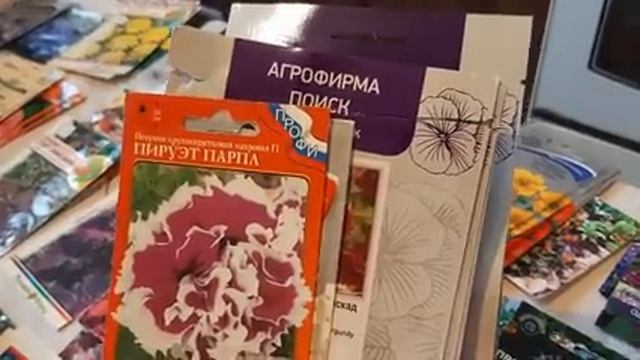 ЧТО ПОСЕЯТЬ В ЯНВАРЕ. в какие СРОКИ я сею цветы. сроки посева семенами.mp4
