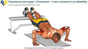Отжимания с опорой ногами на скамью, фитбол