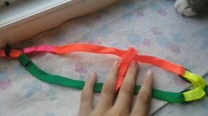Поводок и Шлейка для кошки.Как гулять с кошкой?