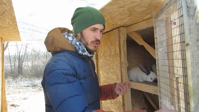 РАЗМЕРЫ КЛЕТОК ДЛЯ КРОЛИКОВ. КОРМЛЕНИЕ.