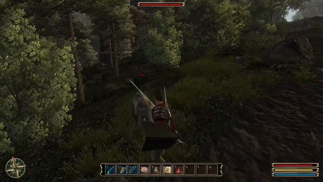 9#Zagrajmy w Gothic 3 — Druid Porgan смотреть онлайн