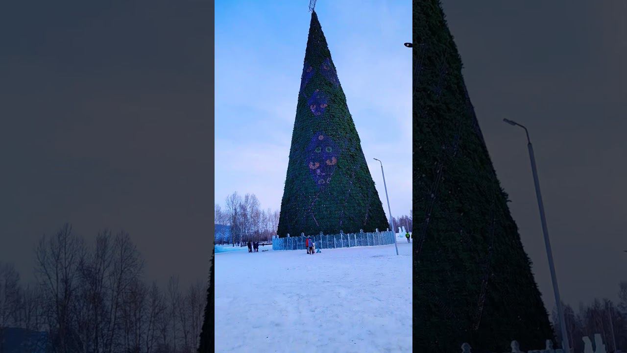 Красноярск городская ёлка