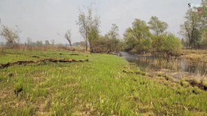 Новосибирская область. Колыванский район. р. Уень