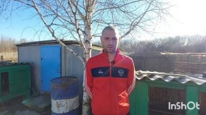 Чем нельзя кормить кроликов