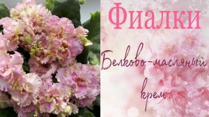 Кремовые цветы. Фиалки. Белково-масляный крем.