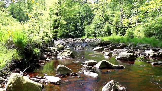 1 Час Звуков Природы для Релаксации - Звук Воды - Медитация смотреть онлайн