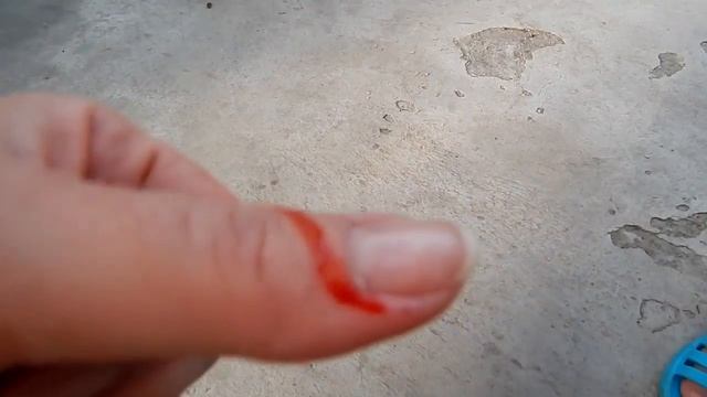 Укусила собака СОБАКА УКУСИЛА ЗА ПАЛЕЦ Щенок играет Смешной щенок смотреть онлайн