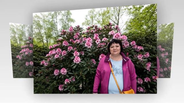 Остров Цветов смотреть онлайн