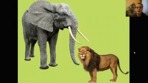 Видео-игра _Больше-меньше_