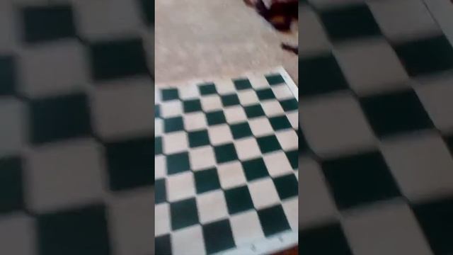 How to Play Chess: Combat смотреть онлайн