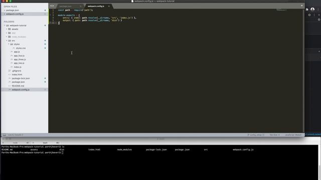Webpack tutorial 2 - Configuration, Loaders, Plugins - 2021 смотреть онлайн