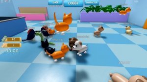 ? ПОБЕГ ПИТОМЦЕВ 2 в РОБЛОКС ПРЯТКИ Pet ? Escape 2 ROBLOX КИРЮХА и КОТЁНОК ЛАЙК