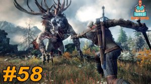 Ведьмак 3  The Witcher 3.  ВОРОВСКАЯ ЧЕСТЬ Прохождение часть 58