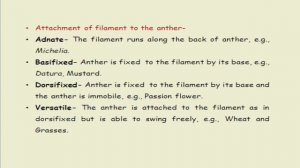 Flower part2||Plant Morphology||Life Science Classes||