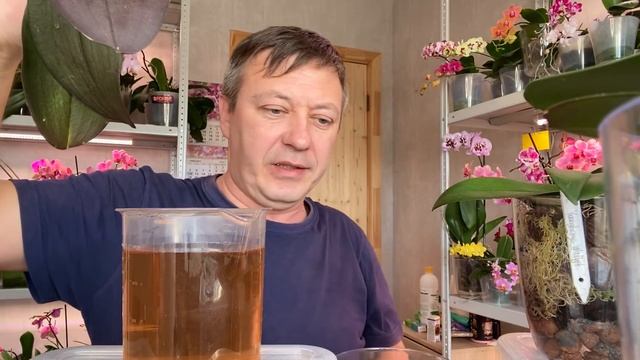 чтобы КОРНИ ОРХИДЕИ лучше усваивали ПИТАТЕЛЬНЫЕ ВЕЩЕСТВА и влагу для РОСТА