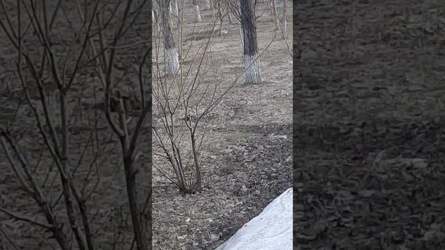 На прогулке