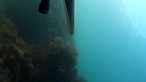 Подводная ОХОТА 19.11.17 ЗУБАРИ, КЕФАЛЬ