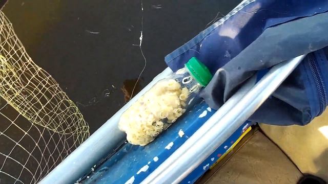 Ловля леща в июне. Ловля леща с лодки.