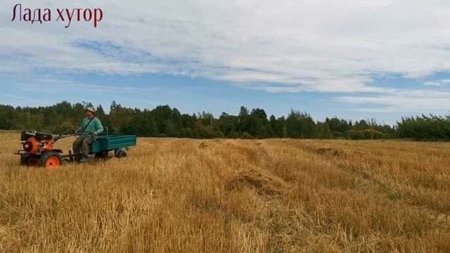 Собрал солому для утепления курятника. #солома#животные#хутор смотреть онлайн