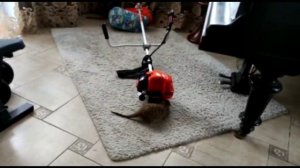 Не заводится???