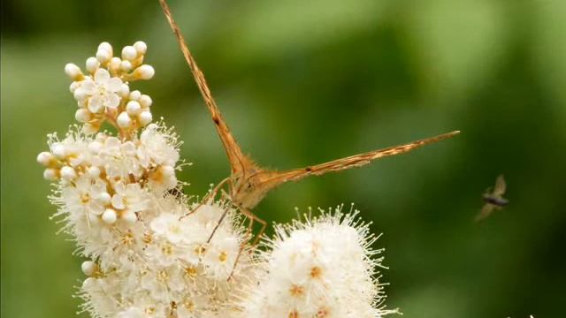 У ручья. смотреть онлайн