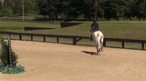 Mimosa ridden by Liz Mahoney | 1.20m 7/7/18 PSJ