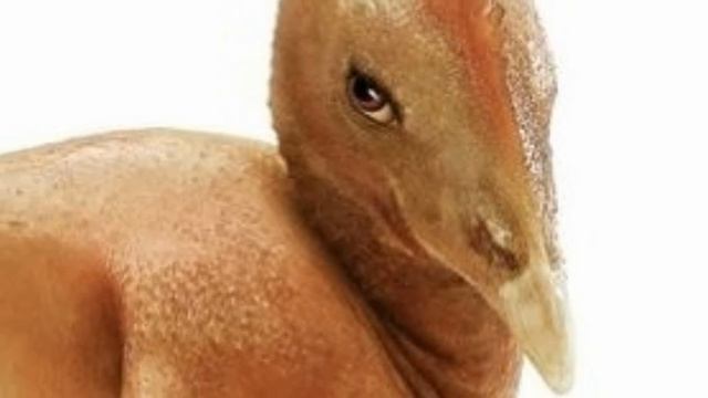 Как Василий в салон к Насте сходил смотреть онлайн