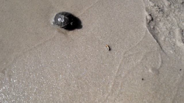 Украина место киев десна 07.05.2014 год смотреть онлайн