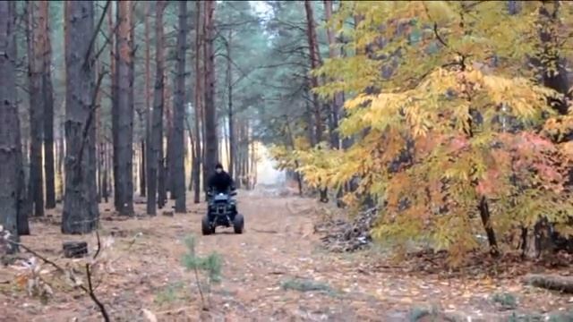 Ганяю в новом лесу на hamer ht125 y006 смотреть онлайн