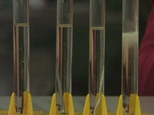 Химия. Опыты. Неорганика. Электрохимический ряд напряжений - вытеснение водорода металлами