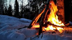 Охота на глухаря НА ТОКУ 2021!! ЭХХ НЕ БЫ ГЛУХАРКА!!!!