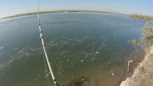 Рыбалка на реке ИЛИ, За пол дня наловили кучу РЫБЫ, Баканас, август 2023