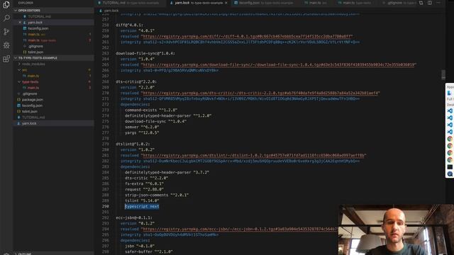 How to test TypeScript types using the TSLint `expect` rule from dtslint